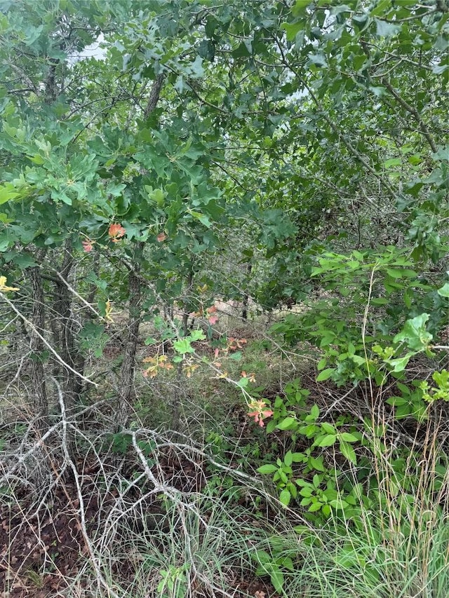 LOT1613 Kaanapali Ln, Bastrop, TX 78602
