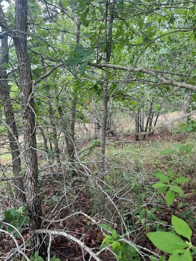 LOT1613 Kaanapali Ln, Bastrop, TX 78602