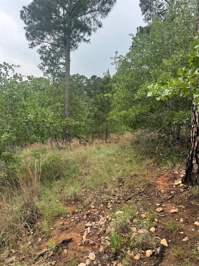 LOT1613 Kaanapali Ln, Bastrop, TX 78602