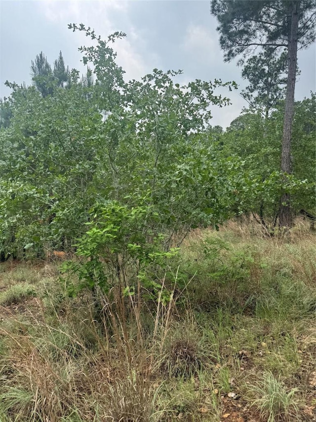 LOT1613 Kaanapali Ln, Bastrop, TX 78602