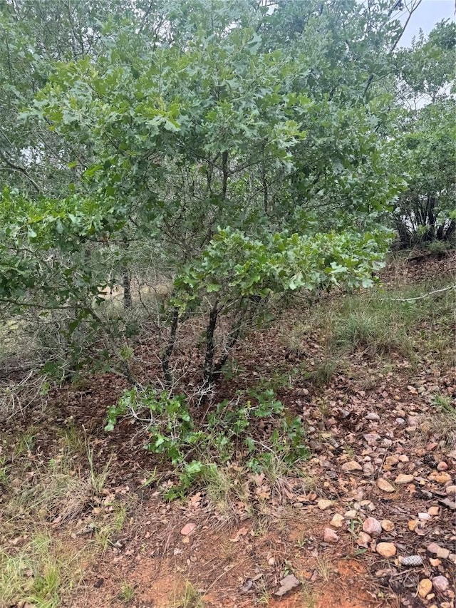 LOT1613 Kaanapali Ln, Bastrop, TX 78602