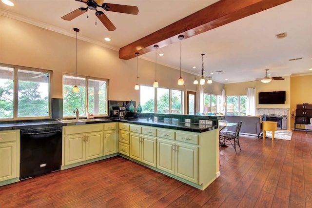 2208 Trailside Dr, Austin, TX 78704 - kitchen with crown molding, a ceiling fan, black dishwasher, and visible vents