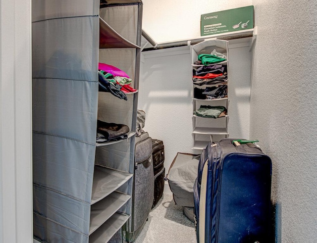 6320 Lipan Bayou Trl, Austin, TX 78738 - walk in closet with carpet flooring