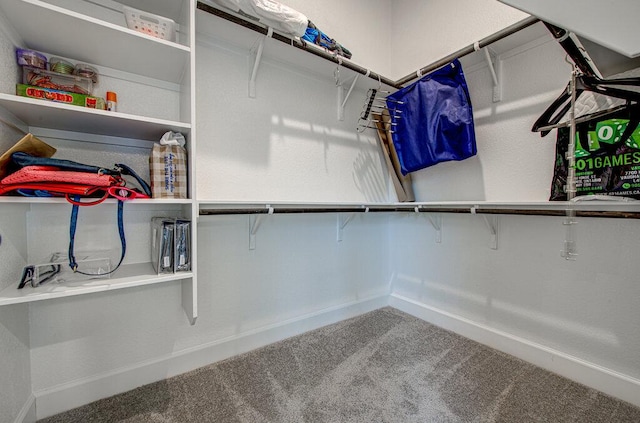 6320 Lipan Bayou Trl, Austin, TX 78738 - walk in closet with carpet flooring