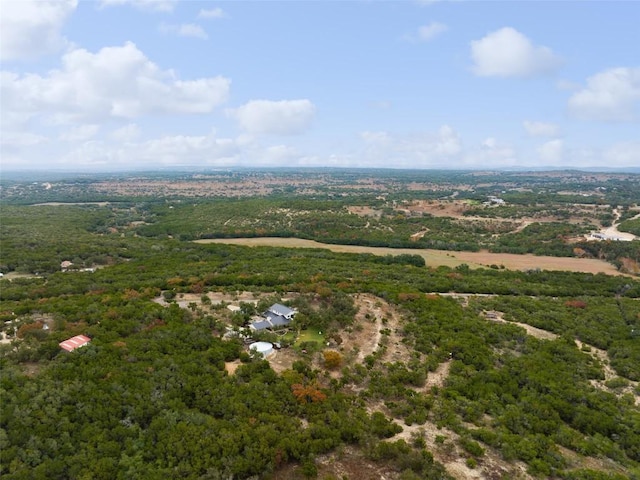 2900 Stagecoach Ranch Loop, Dripping Springs, TX 78620 - photo 35
