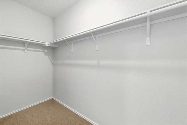 7013 Tonka Ln, Austin, TX 78744 - walk in closet with carpet