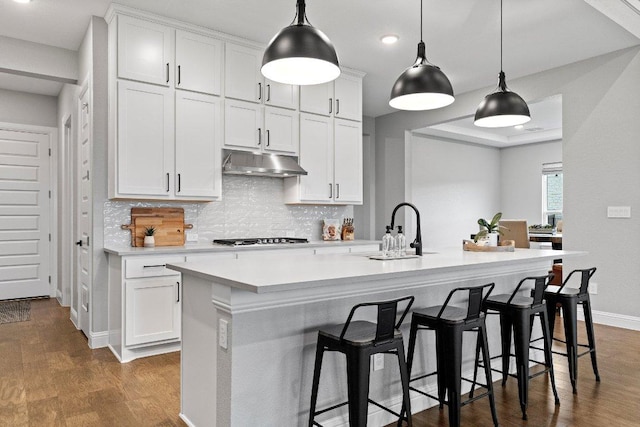 209 Northcrest Dr, Liberty Hill, TX 78642 - kitchen featuring under cabinet range hood, a sink, tasteful backsplash, dark wood-type flooring, and light countertops