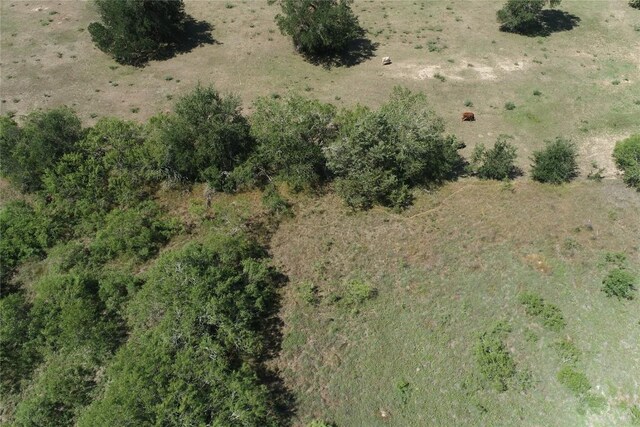 539 Fm 672, Dale, TX 78616 - photo 16