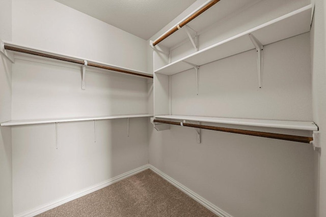 2020 Elaina Loop, Leander, TX 78641 - spacious closet with carpet floors