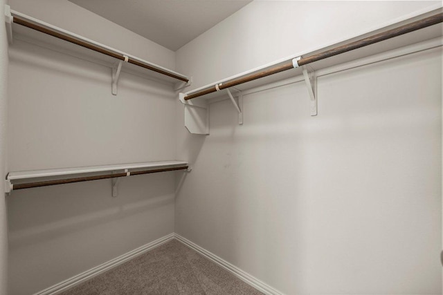 2020 Elaina Loop, Leander, TX 78641 - walk in closet featuring carpet floors