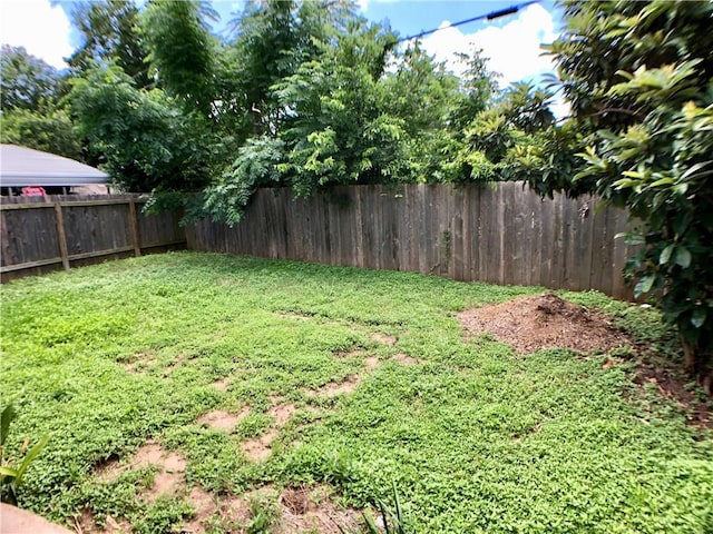 8502 Woodstone Dr, Austin, TX 78757 - view of yard