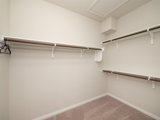 111 Lyrebird Ln, Hutto, TX 78634 - spacious closet with carpet flooring