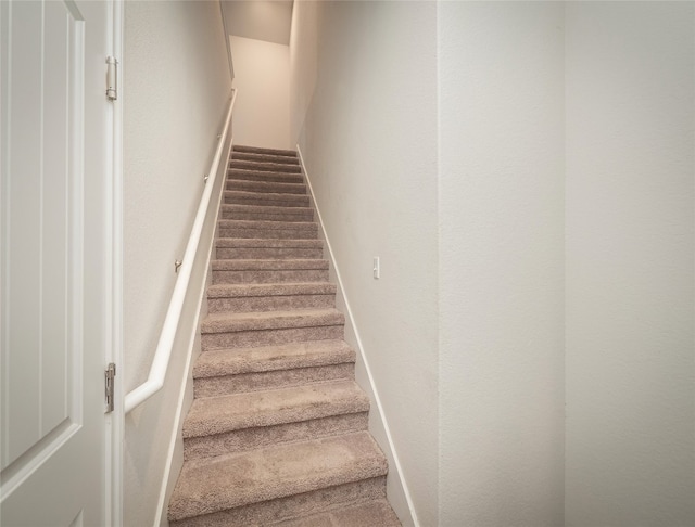 111 Lyrebird Ln, Hutto, TX 78634 - staircase featuring carpet
