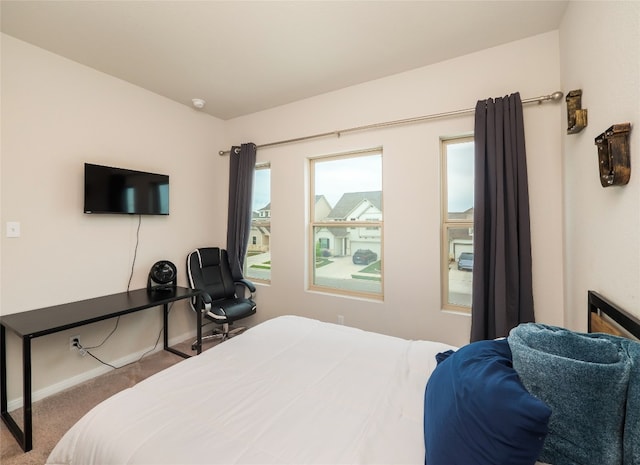 111 Lyrebird Ln, Hutto, TX 78634 - bedroom featuring carpet and baseboards