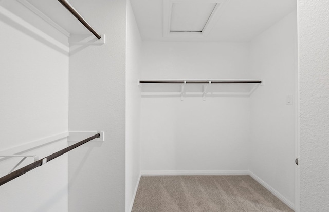 spacious closet featuring light carpet and attic access