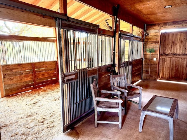 9208 Madrone Ranch Trl, Austin, TX 78738 - view of horse barn