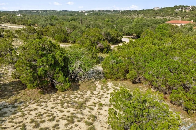 TBD Hidden Hills Dr, Dripping Springs, TX 78620