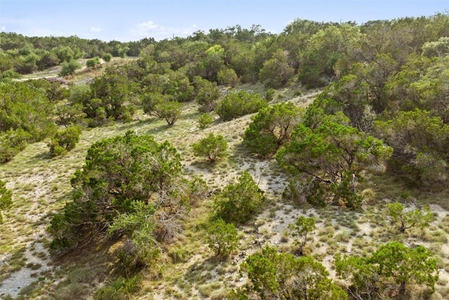 TBD Hidden Hills Dr, Dripping Springs, TX 78620