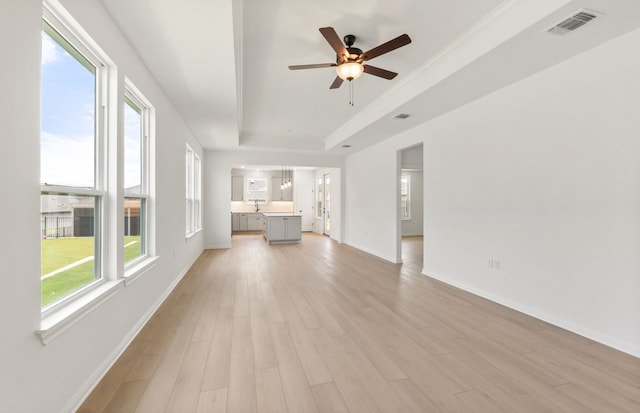 117 Crossbar St, Georgetown, TX 78633 - unfurnished living room featuring a tray ceiling, light wood-type flooring, and plenty of natural light