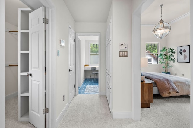 512 E 49th St, Austin, TX 78751 - hallway with light carpet and baseboards