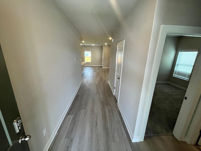 264 Little Green Trl, Jarrell, TX 76537 - hall featuring wood finished floors and baseboards