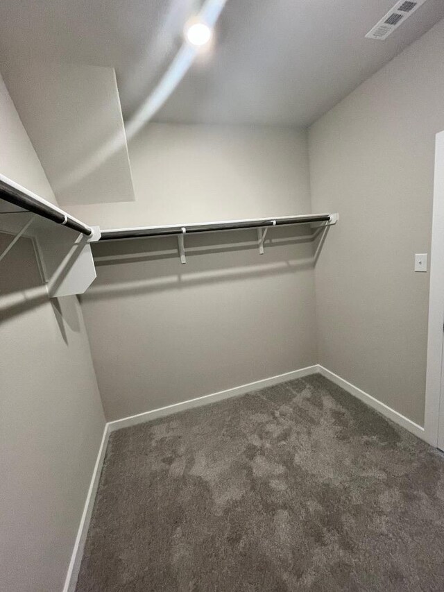 264 Little Green Trl, Jarrell, TX 76537 - walk in closet with carpet
