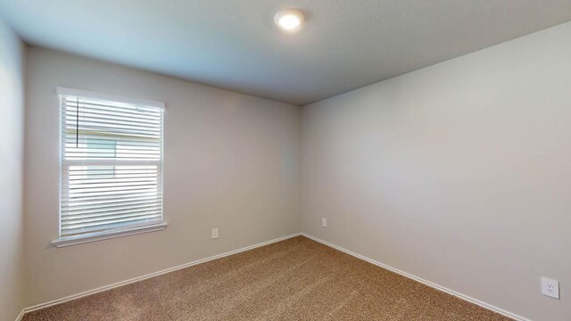 2402 Bee Creek Dr, Copperas Cove, TX 76522 - empty room featuring carpet floors and baseboards