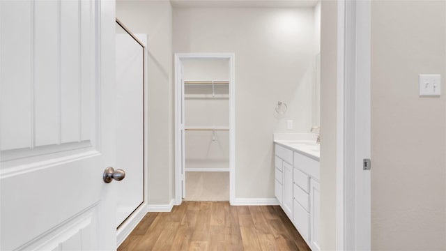204 Inks Ln, Kyle, TX 78640 - bathroom with wood finished floors, vanity, a spacious closet, and baseboards