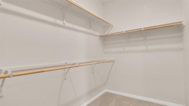 204 Inks Ln, Kyle, TX 78640 - walk in closet featuring light colored carpet