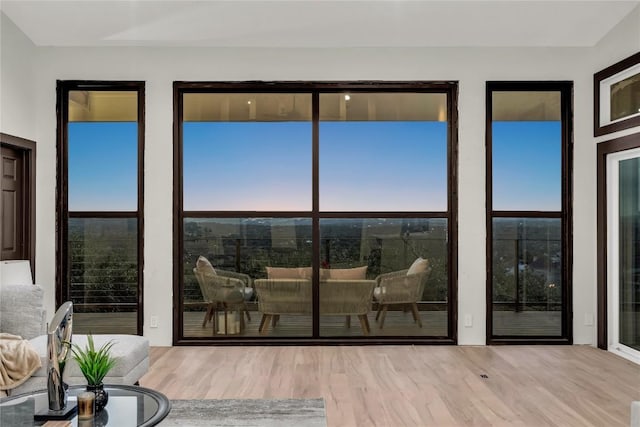 112 Paragon Ct, Lakeway, TX 78734 - doorway to outside featuring wood finished floors and plenty of natural light