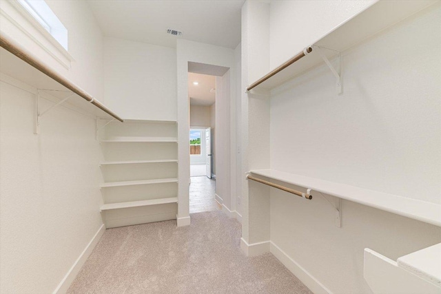 1401 S Brook Dr, Leander, TX 78641 - spacious closet with light carpet