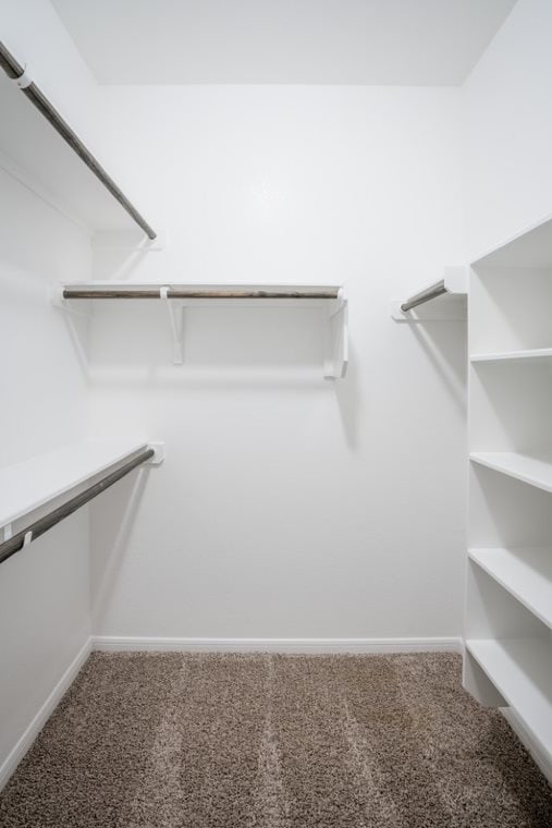 7224 Abalone Way, Temple, TX 76502 - walk in closet with carpet