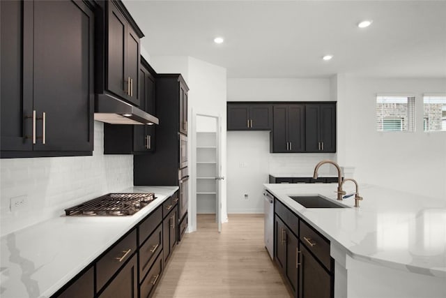 204 Ridgewell Loop, Georgetown, TX 78633 - kitchen with a sink, appliances with stainless steel finishes, light wood-style flooring, under cabinet range hood, and backsplash