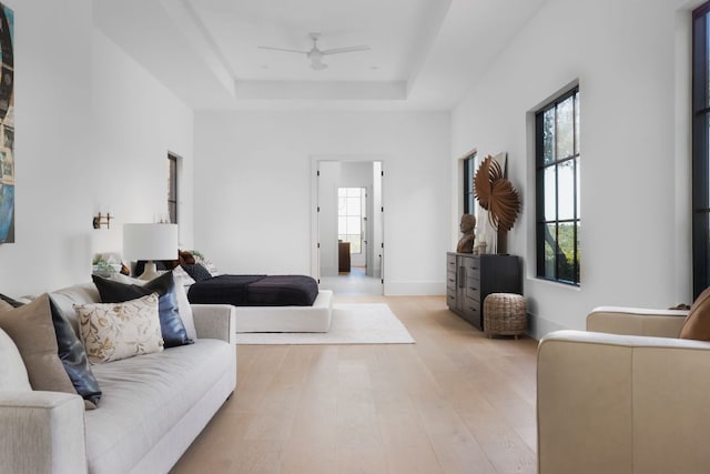 4405 Hennig Dr, Austin, TX 78738 - bedroom with multiple windows, a tray ceiling, light wood-style floors, and a ceiling fan