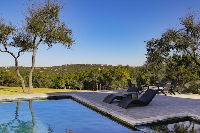 4405 Hennig Dr, Austin, TX 78738 - outdoor pool featuring a patio area and a wooded view