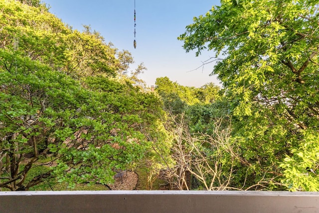 7122 Wood Hollow Dr Unit 13, Austin, TX 78731 - view of local wilderness