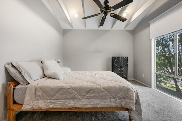 5900 Nasco Dr, Austin, TX 78757 - bedroom with lofted ceiling, carpet floors, and baseboards