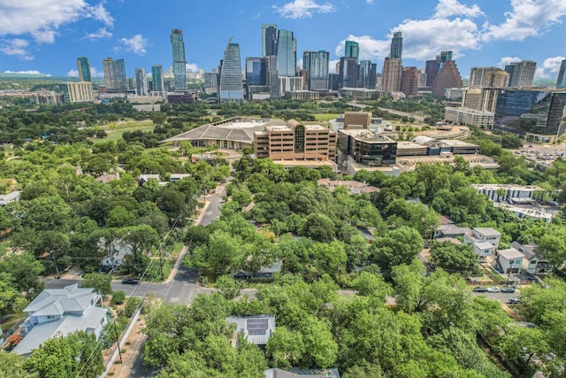 701 Bouldin Ave, Austin, TX 78704 - drone / aerial view of skyline