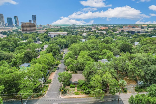 701 Bouldin Ave, Austin, TX 78704 - aerial view of skyline and a tree filled landscape
