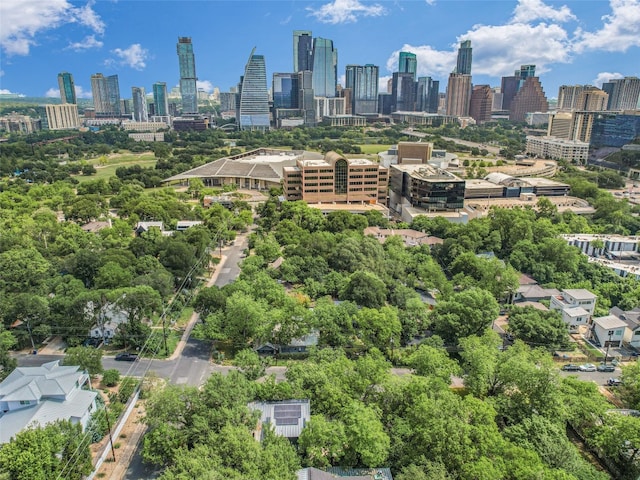 701 Bouldin Ave, Austin, TX 78704 - view of city skyline