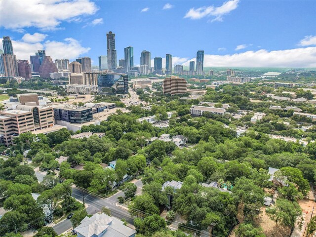 701 Bouldin Ave, Austin, TX 78704 - aerial view of city skyline