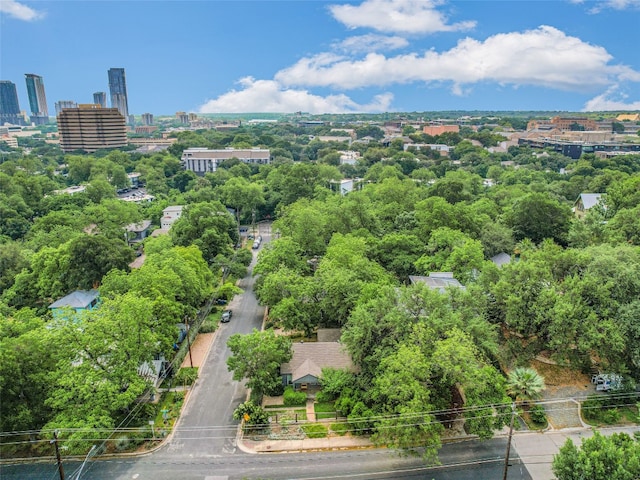 701 Bouldin Ave, Austin, TX 78704 - view of urban area featuring a tree filled landscape