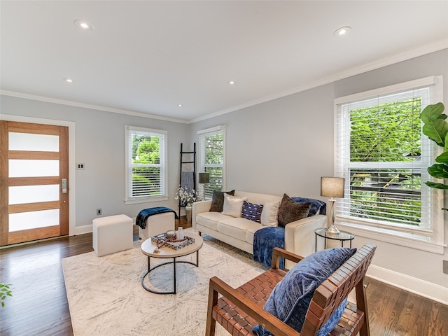 701 Bouldin Ave, Austin, TX 78704 - living area featuring wood finished floors, ornamental molding, and recessed lighting