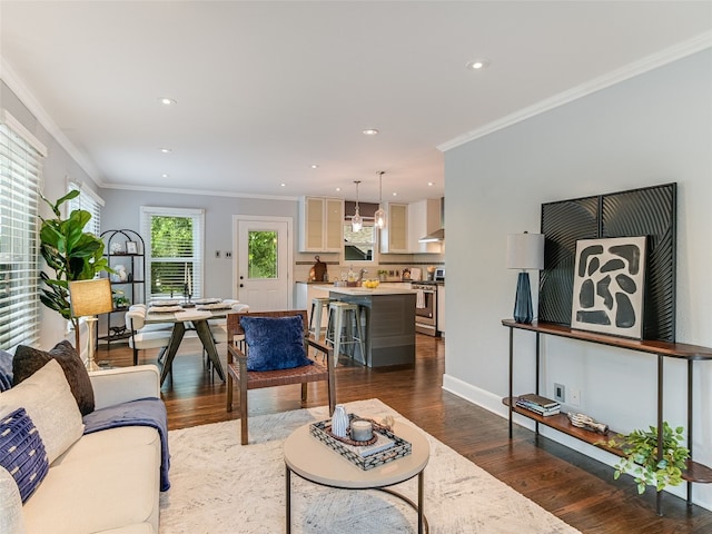701 Bouldin Ave, Austin, TX 78704 - living room with dark wood-type flooring, crown molding, and recessed lighting