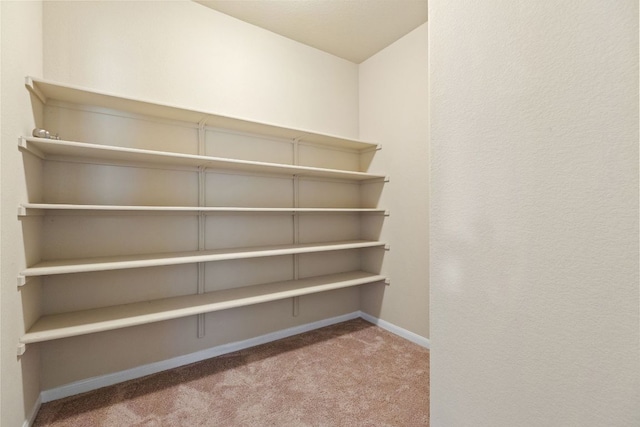 2880 Donnell Dr Unit 3903, Round Rock, TX 78664 - view of pantry