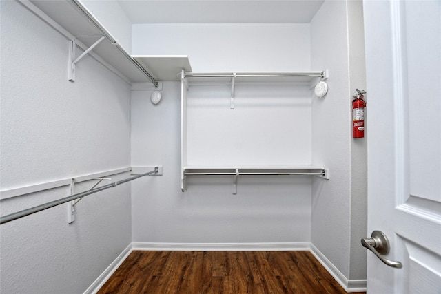 212 Yukon Ter, Georgetown, TX 78633 - walk in closet with dark wood-style floors