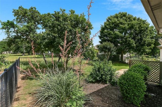 212 Yukon Ter, Georgetown, TX 78633 - photo 34