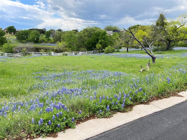 1308 Cats Eye, Horseshoe Bay, TX 78657 - photo 4