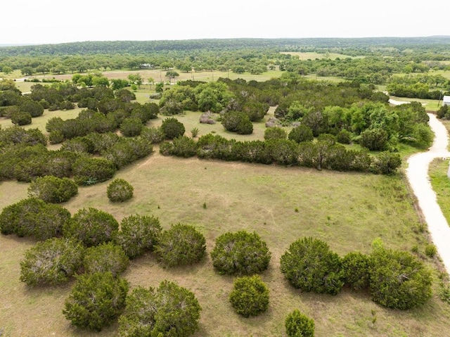 TBDLOT1-AA Rr-150 Unit Rr-150, Driftwood, TX 78619 - photo 12