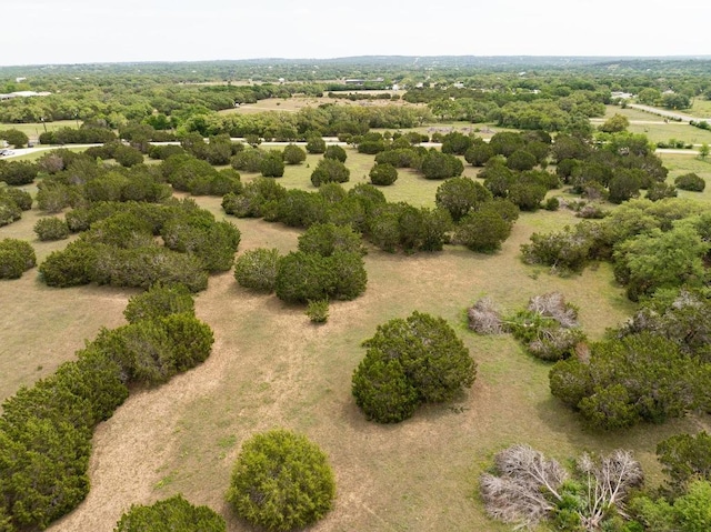 TBDLOT1-AA Rr-150 Unit Rr-150, Driftwood, TX 78619 - photo 13